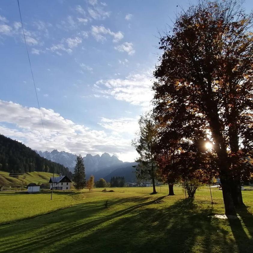 Ferienwohnung Haus Grünwald Gosau Exterior foto